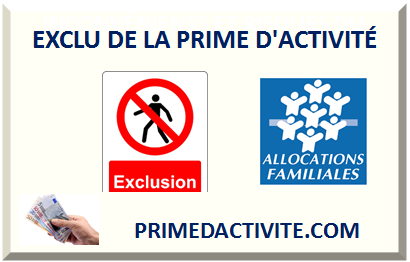 EXCLU DE LA PRIME D'ACTIVITÉ 2024